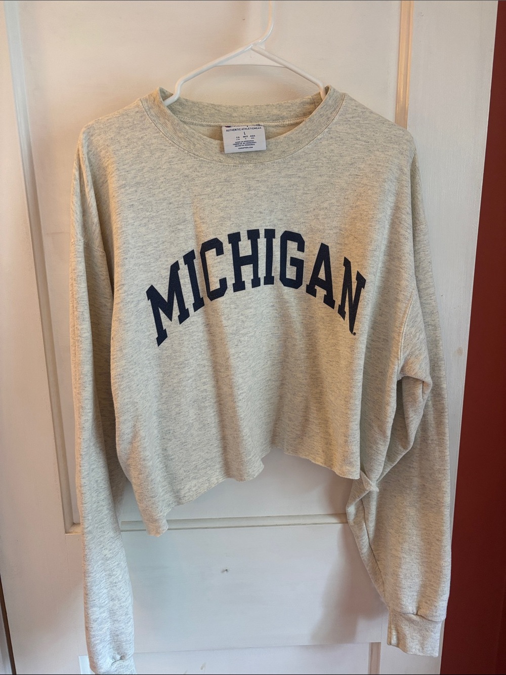 Michigan Cropped Crewneck Sweatshirt - Light Heather Gray size large (oversized)